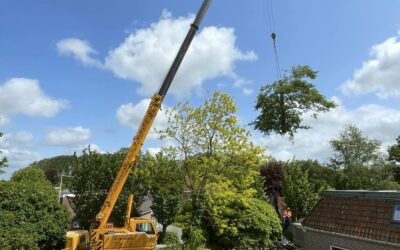 Een aantal afgeronde projecten