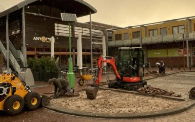 Vergroenen van de koemarkt