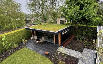 Tuinrenovatie Leeuwarden