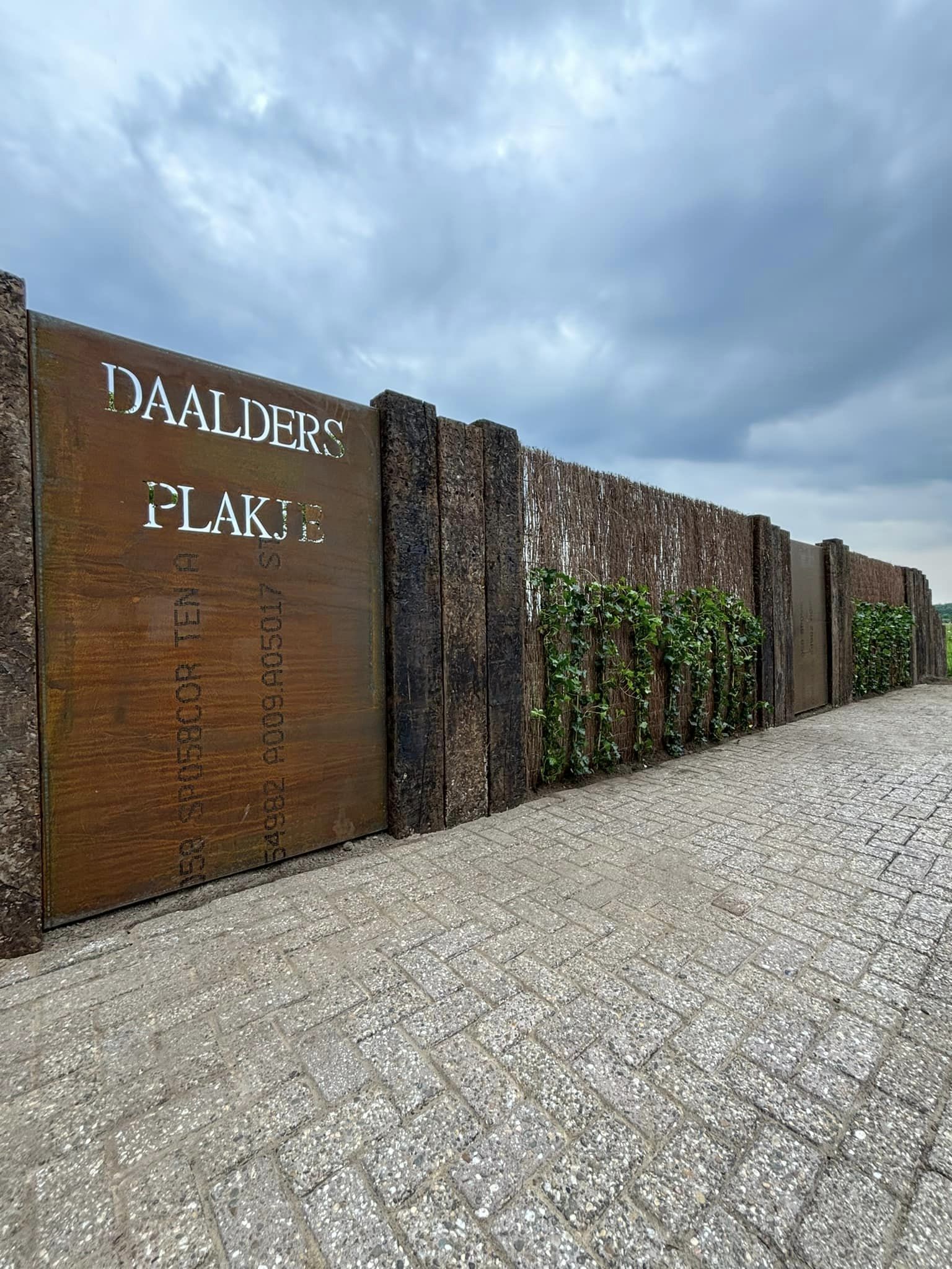 318185675_150119027764640_1264846343176533321_n